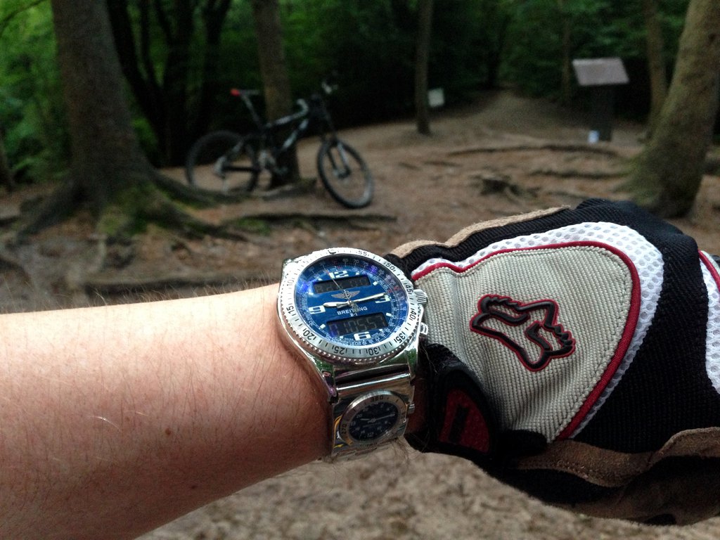 sibon.triple-it.nl/images/stories/B1/B-1_Wrist_20130714.jpg