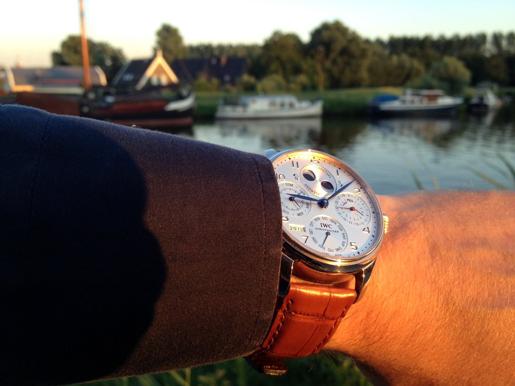 sibon.triple-it.nl/images/stories/IW502117/502117_Wrist_20120723_1.jpg