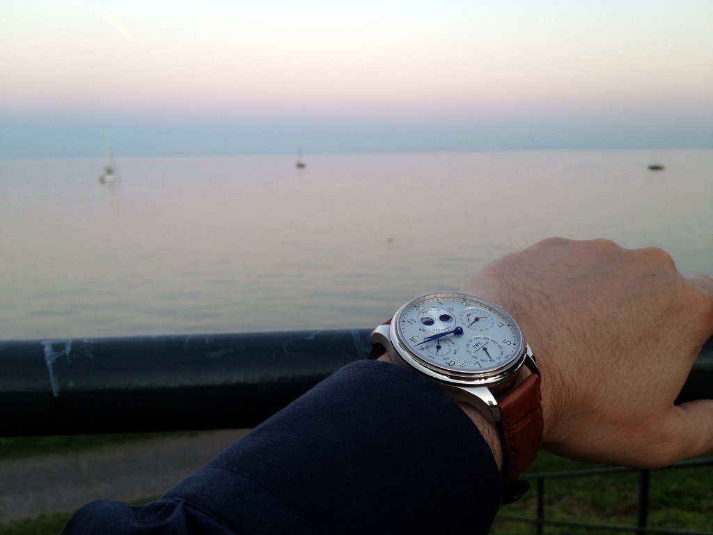 sibon.triple-it.nl/images/stories/IW502117/502117_Wrist_20120723_3.jpg