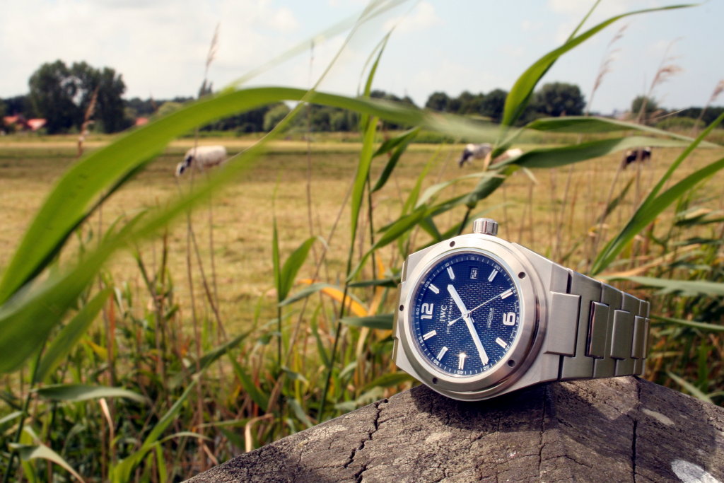 http://sibon.triple-it.nl/images/stories/Ingenieur/Inge_20080629_3.jpg