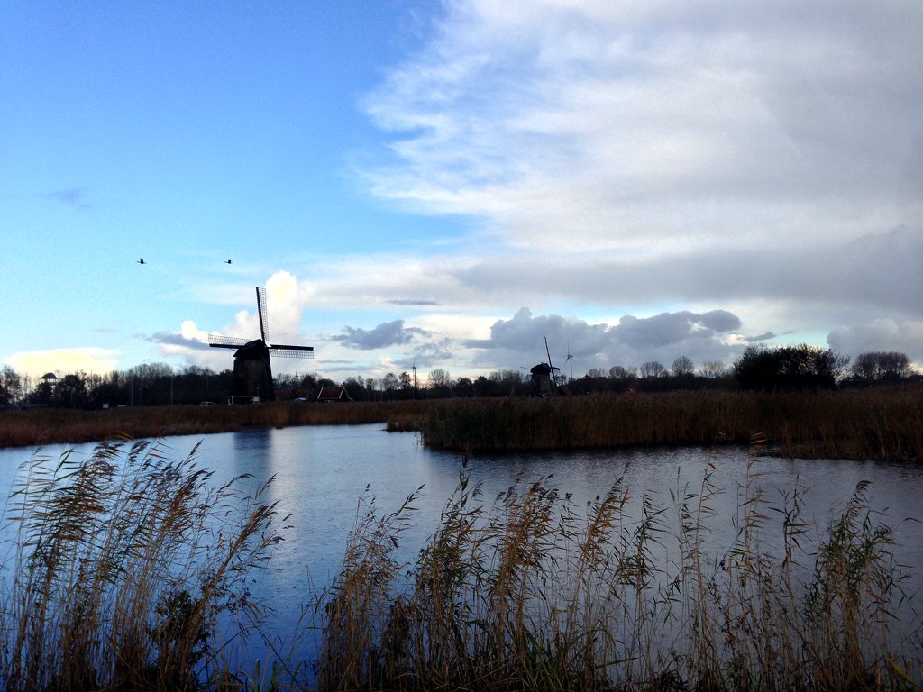 sibon.triple-it.nl/images/stories/Zeswielen_20131110_6.jpg